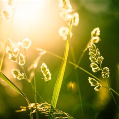 Soul Enlightment  