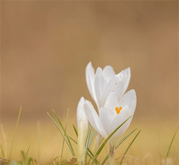 Lente energie | Dit is mijn Toekomst